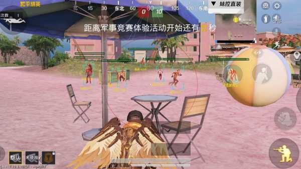 和平精英的透视功能